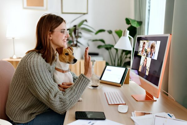 orientación telefónica ilimitada