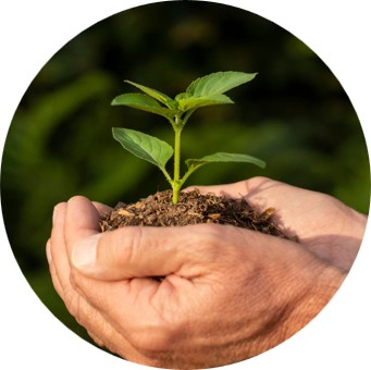 asistir secretaria de ambiente